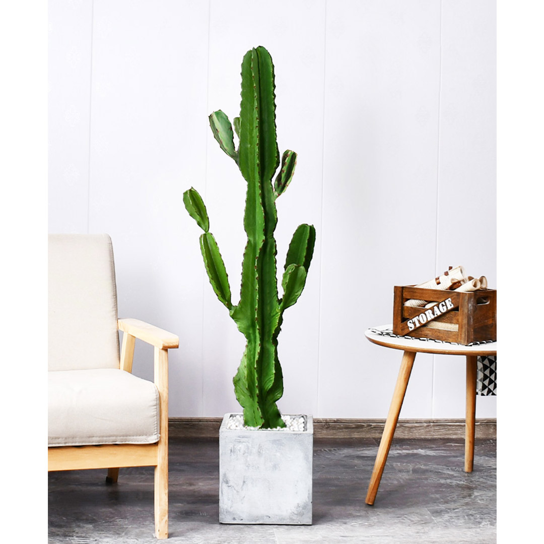 Soga 105Cm Green Artificial Indoor Cactus Tree Fake Plant Simulation Decorative 6 Heads, Home &Amp; Living, Home Decor, Artificial Plants, , ,  - Nz Depot 5