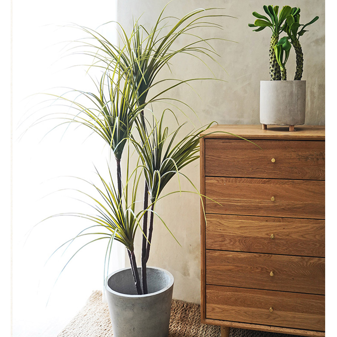 Soga 145Cm Artificial Dracaena Plant Fake Potted, Simulation Tree Fake Plant Home Decor, Home &Amp; Living, Home Decor, Artificial Plants, , ,  - Nz Depot 7