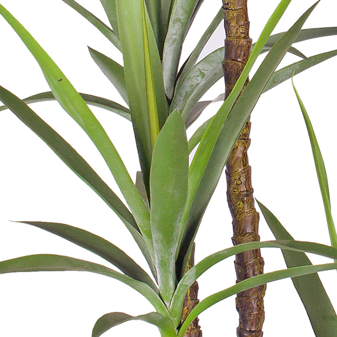 Soga 150Cm Artificial Natural Green Dracaena Yucca Tree Fake Tropical Indoor Plant Home Office Decor, Home &Amp; Living, Home Decor, Artificial Plants, , ,  - Nz Depot 5