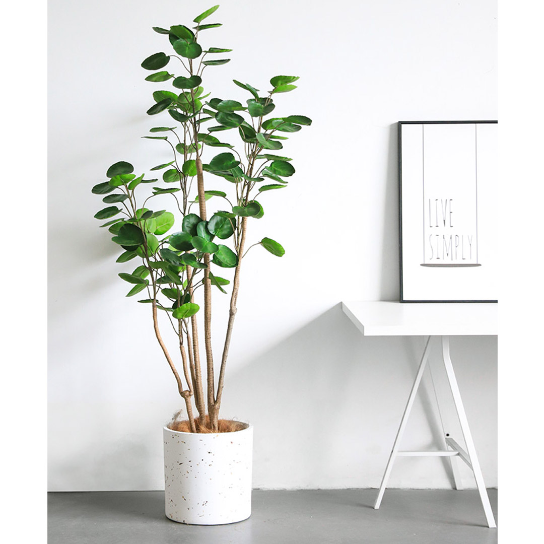 Soga 150Cm Plastic Potted Polyscias Scutellaria Plant Home Garden Artificial Tree, Home Decor, Home &Amp; Living, Home Decor, Artificial Plants, , ,  - Nz Depot 3