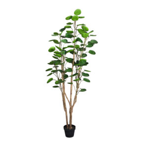 SOGA 150cm Plastic Potted Polyscias Scutellaria Plant Home Garden Artificial Tree, Home Decor, Home & Living, Home Decor, Artificial Plants, , ,  - NZ DEPOT 1