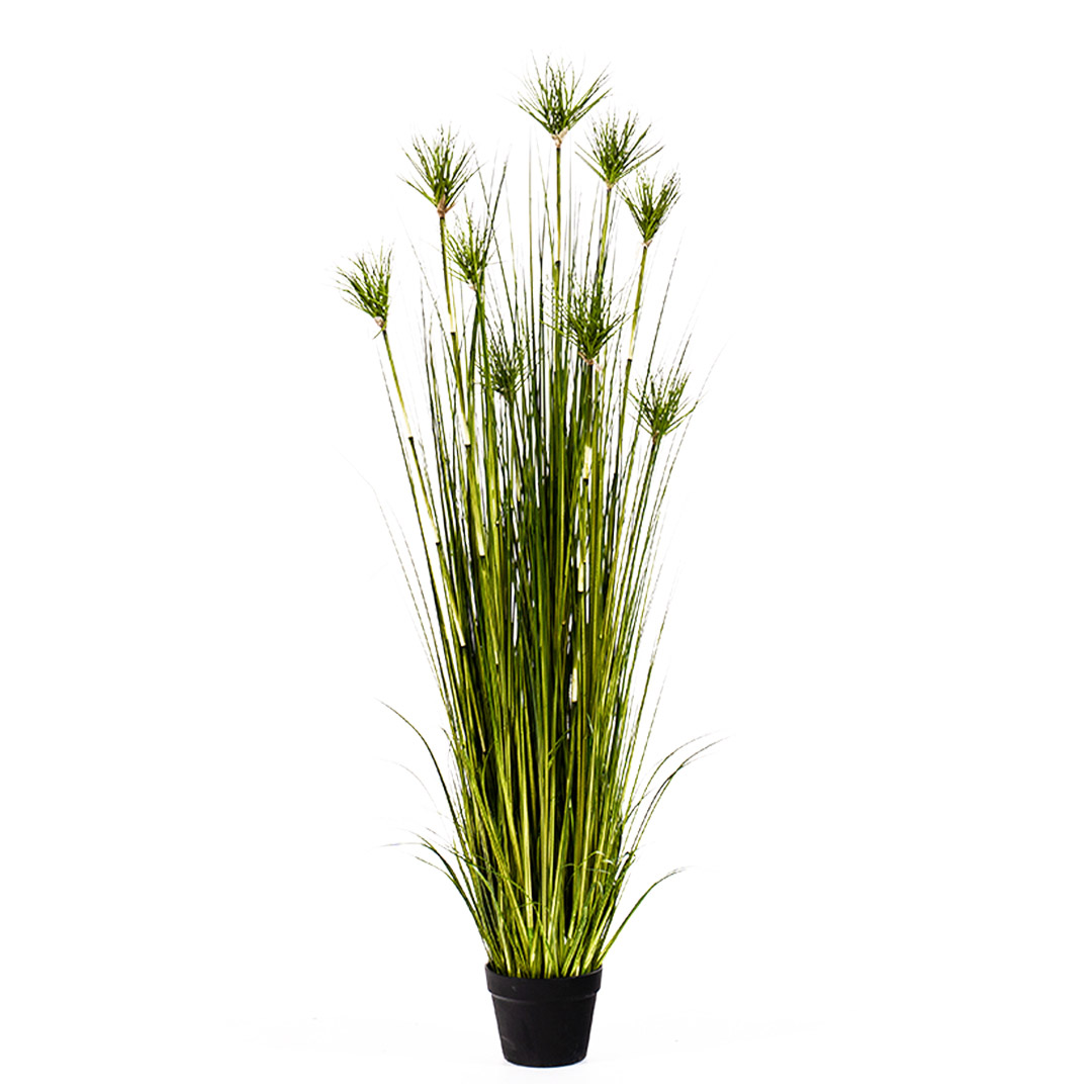 Soga 150Cm Cyperus Papyrus Plant Tree Artificial Green Grass, Home Or Office Indoor Greenery Accent, Home &Amp; Living, Home Decor, Artificial Plants, , ,  - Nz Depot 1