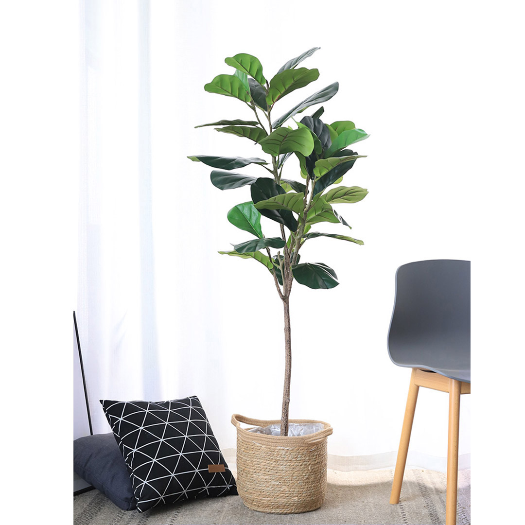 Soga 155Cm Green Artificial Indoor Qin Yerong Tree Fake Plant Simulation Decorative, Home &Amp; Living, Home Decor, Artificial Plants, , ,  - Nz Depot 4