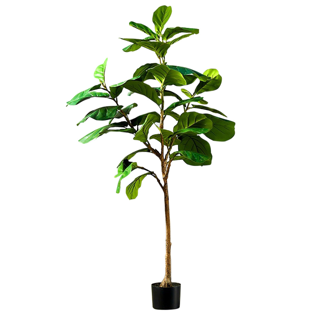 Soga 155Cm Green Artificial Indoor Qin Yerong Tree Fake Plant Simulation Decorative, Home &Amp; Living, Home Decor, Artificial Plants, , ,  - Nz Depot 1