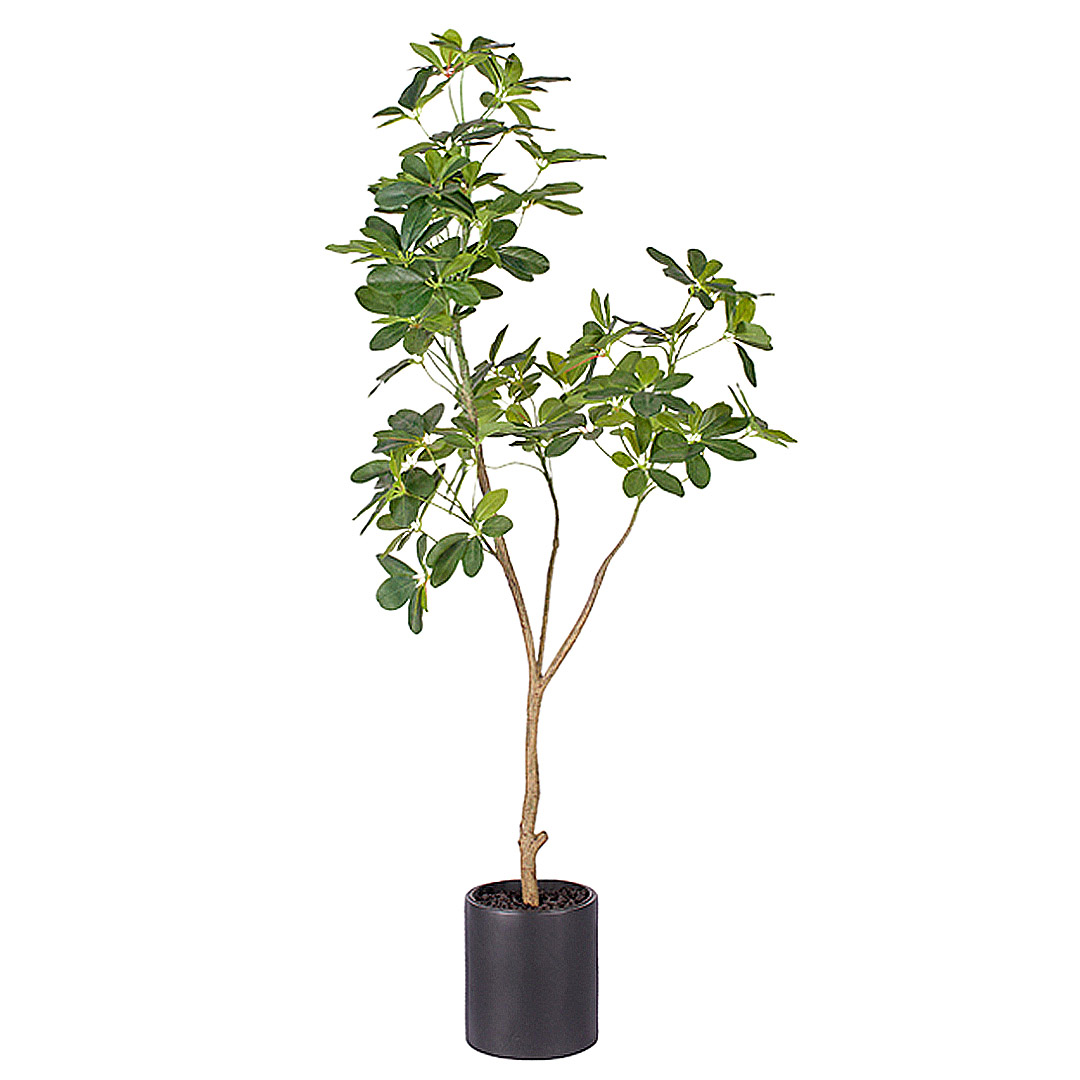 Soga 160Cm Artificial Natural Green Schefflera Dwarf Umbrella Tree Fake Tropical Indoor Plant Home Office Decor, Home &Amp; Living, Home Decor, Artificial Plants, , ,  - Nz Depot 1