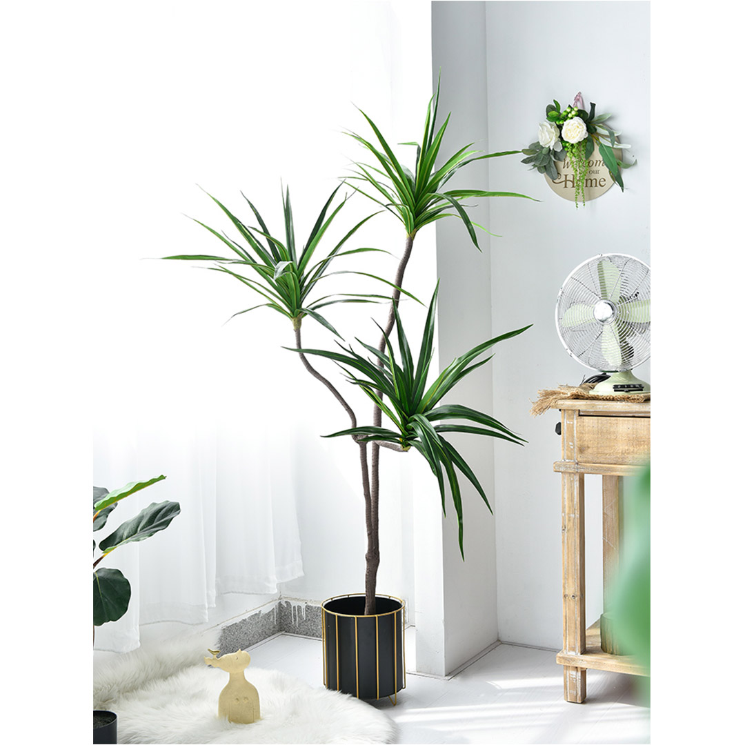 Soga 180Cm Green Artificial Indoor Brazlian Iron Tree Fake Plant Decorative 3 Heads, Home &Amp; Living, Home Decor, Artificial Plants, , ,  - Nz Depot 3