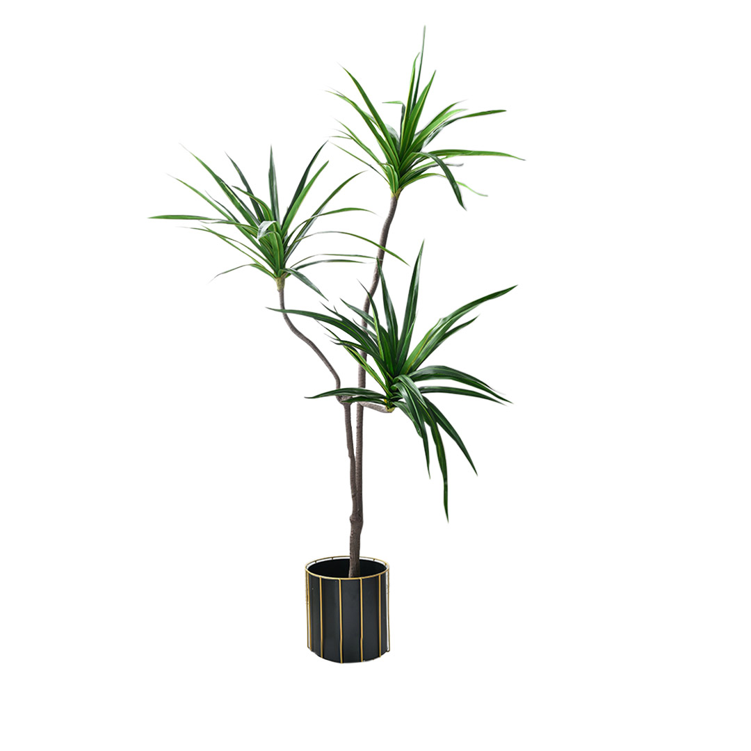 Soga 180Cm Green Artificial Indoor Brazlian Iron Tree Fake Plant Decorative 3 Heads, Home &Amp; Living, Home Decor, Artificial Plants, , ,  - Nz Depot 1