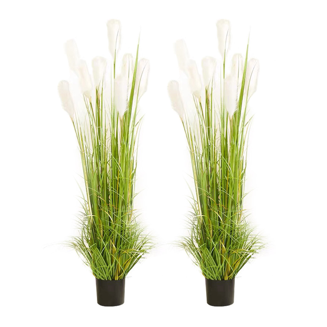 Soga 2X 120Cm Nearly Natural Plume Grass Artificial Plant, Home &Amp; Living, Home Decor, Artificial Plants, , ,  - Nz Depot 1