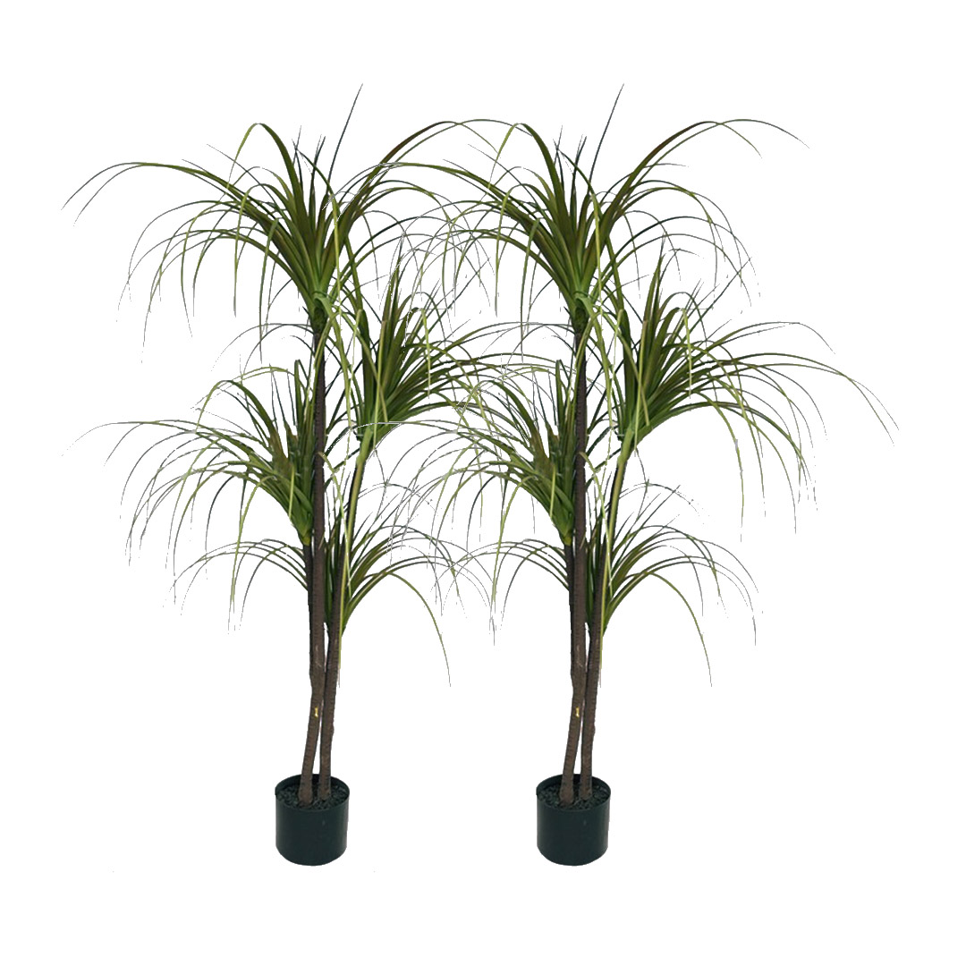 Soga 2X 150Cm Artificial Dracaena Plant Fake Potted, Simulation Tree Fake Plant Home Decor, Home &Amp; Living, Home Decor, Artificial Plants, , ,  - Nz Depot 1