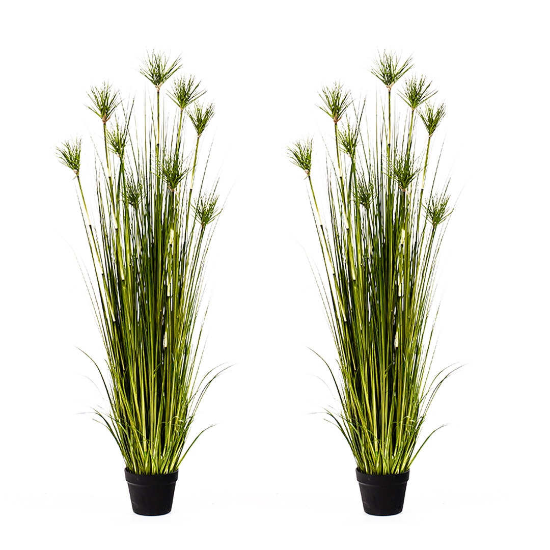 Soga 2X 150Cm Cyperus Papyrus Plant Tree Artificial Green Grass, Home Or Office Indoor Greenery Accent, Home &Amp; Living, Home Decor, Artificial Plants, , ,  - Nz Depot 1