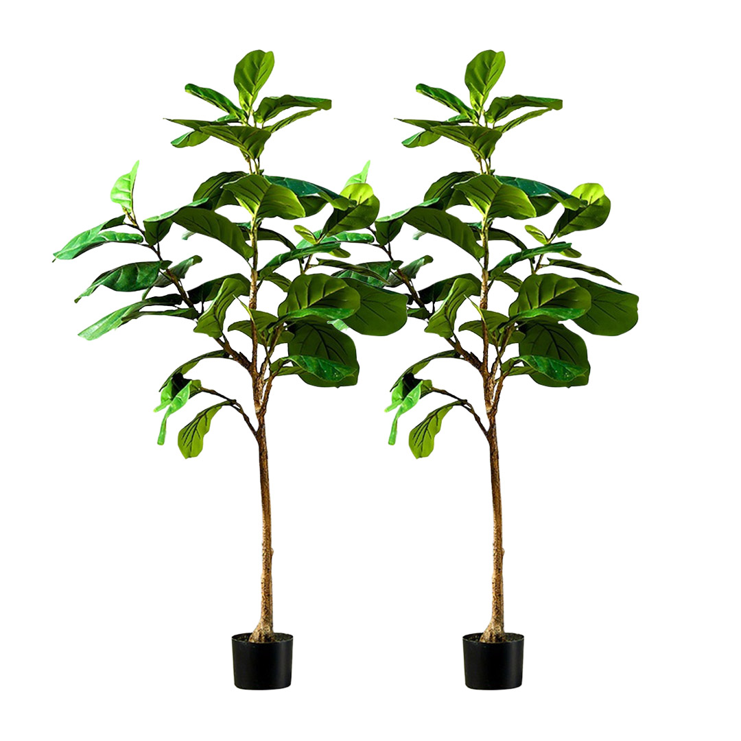 Soga 2X 155Cm Green Artificial Indoor Qin Yerong Tree Fake Plant Simulation Decorative, Home &Amp; Living, Home Decor, Artificial Plants, , ,  - Nz Depot 1