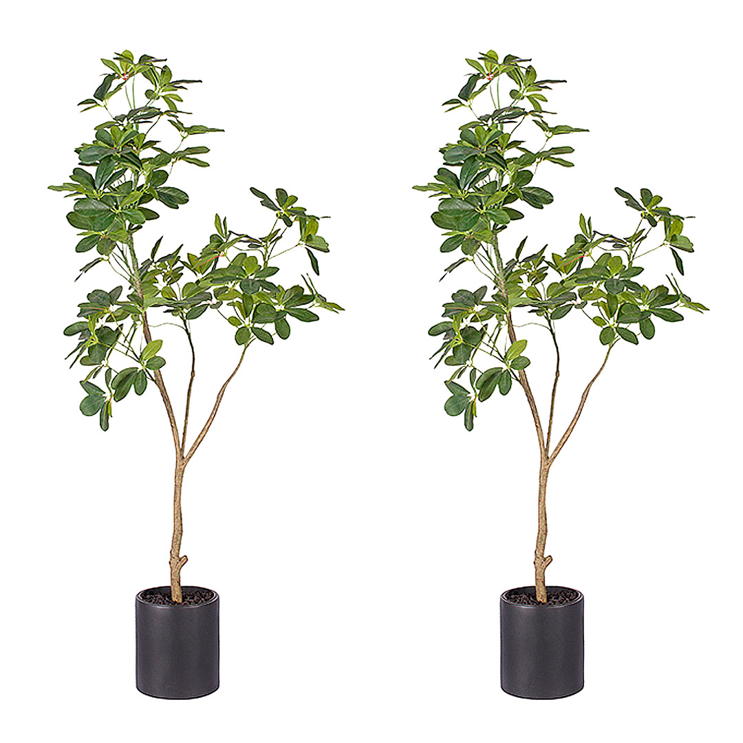 Soga 2X 160Cm Artificial Natural Green Schefflera Dwarf Umbrella Tree Fake Tropical Indoor Plant Home Office Decor, Home &Amp; Living, Home Decor, Artificial Plants, , ,  - Nz Depot 1