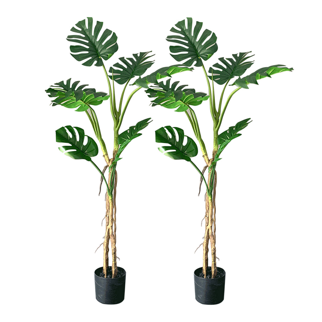 Soga 2X 160Cm Tropical Monstera Palm Artificial Plant Tree, Real Touch Technology, With Uv Protection, Home &Amp; Living, Home Decor, Artificial Plants, , ,  - Nz Depot 1