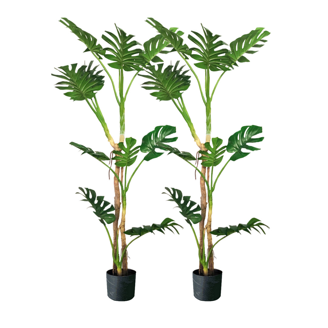 Soga 2X 175Cm Tropical Monstera Palm Artificial Plant Tree, Real Touch Technology, With Uv Protection, Home &Amp; Living, Home Decor, Artificial Plants, , ,  - Nz Depot 1