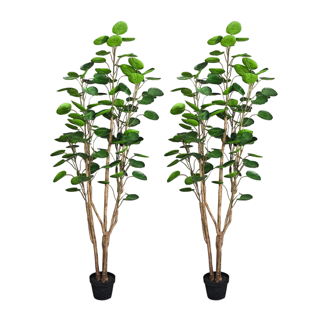 Soga 2X 180Cm Plastic Potted Polyscias Scutellaria Plant Home Garden Artificial Tree, Home Decor, Home &Amp; Living, Home Decor, Artificial Plants, , ,  - Nz Depot 1