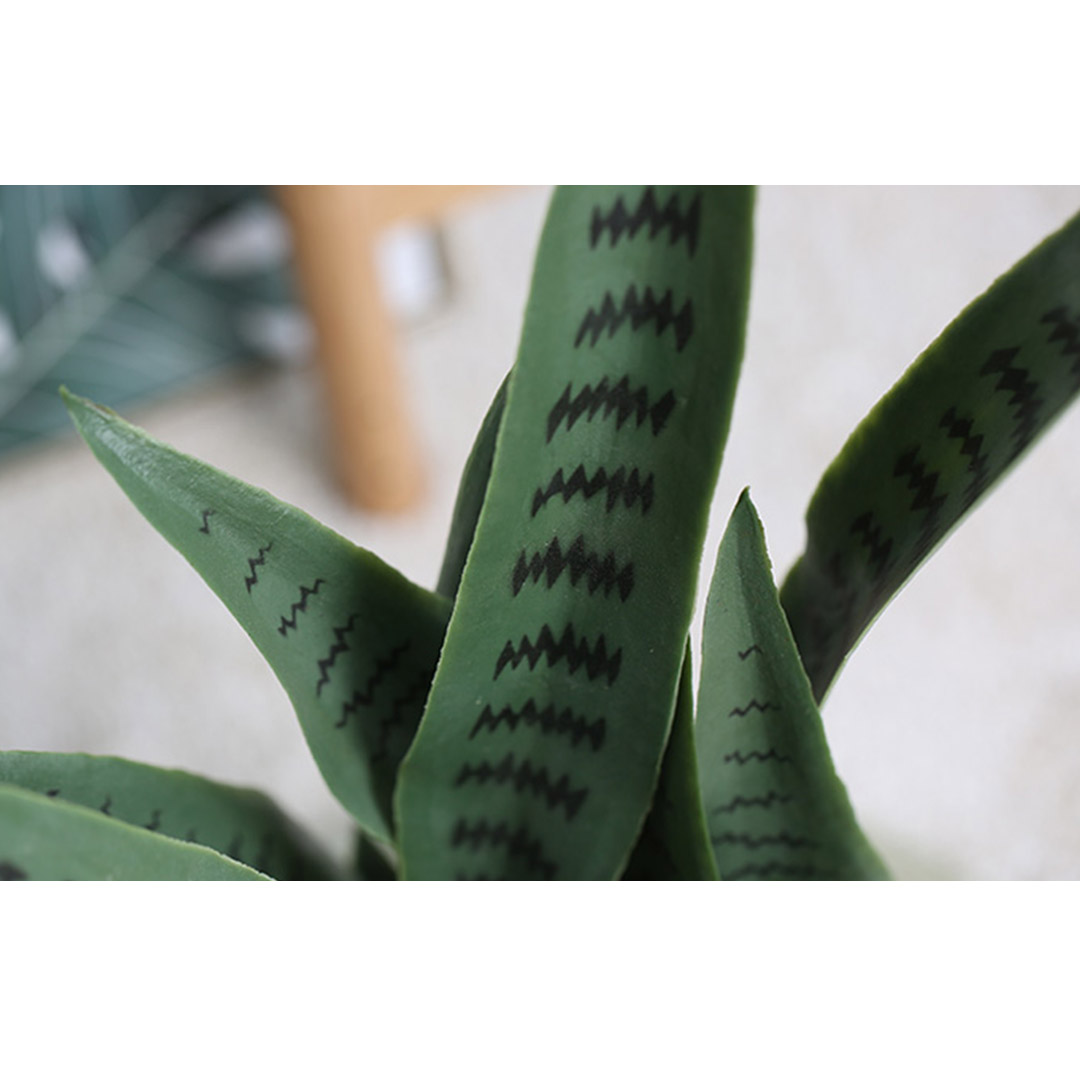 SOGA 2X 97cm Sansevieria Snake Artificial Plants with Black Plastic Planter Greenery, Home Office Decor, Home & Living, Home Decor, Artificial Plants, , ,  - NZ DEPOT 4