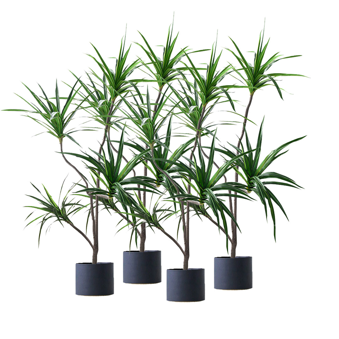 Soga 4X 180Cm Realistic Artificial Dracaena, Rubberised Silk Cloth + Iron Wire, Home Decor, Home &Amp; Living, Home Decor, Artificial Plants, , ,  - Nz Depot 1