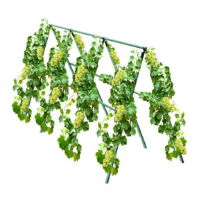 SOGA 120X90cm Plant Frame Tube Trellis Vegetable Flower Herbs Outdoor Vine Support Adjustable Garden Rack, Garden, Tools & Hardware, Gardening & Lawn Care, Garden Decor, ,  - NZ DEPOT 1