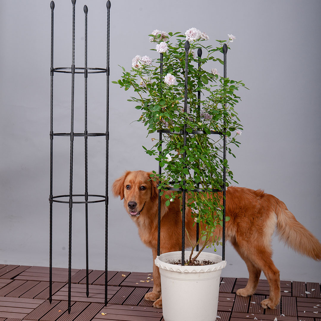 Soga 133Cm 4-Bar Plant Frame Stand Trellis Vegetable Flower Herbs Outdoor Vine Support Garden Rack With Rings, Garden, Tools &Amp; Hardware, Gardening &Amp; Lawn Care, Garden Decor, ,  - Nz Depot 3