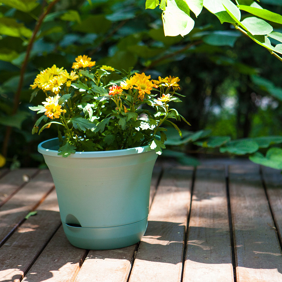 Soga 19.5 Cm Blue Plastic Plant Pot Self Watering Planter Flower Bonsai Outdoor Garden Decor Set Of 2, Home &Amp; Living, Home Decor, Indoor Pots, Planters And Plant Stands, , ,  - Nz Depot 4