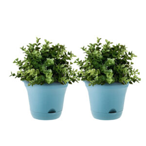 SOGA 19.5 cm Blue Plastic Plant Pot Self Watering Planter Flower Bonsai Outdoor Garden Decor Set of 2, Home & Living, Home Decor, Indoor Pots, Planters and Plant Stands, , ,  - NZ DEPOT 1