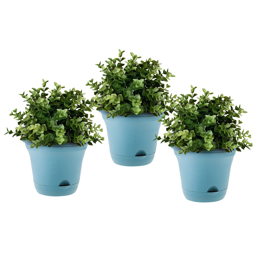 Soga 19.5 Cm Blue Plastic Plant Pot Self Watering Planter Flower Bonsai Indoor Outdoor Garden Decor Set Of 3, Home &Amp; Living, Home Decor, Indoor Pots, Planters And Plant Stands, , ,  - Nz Depot 1