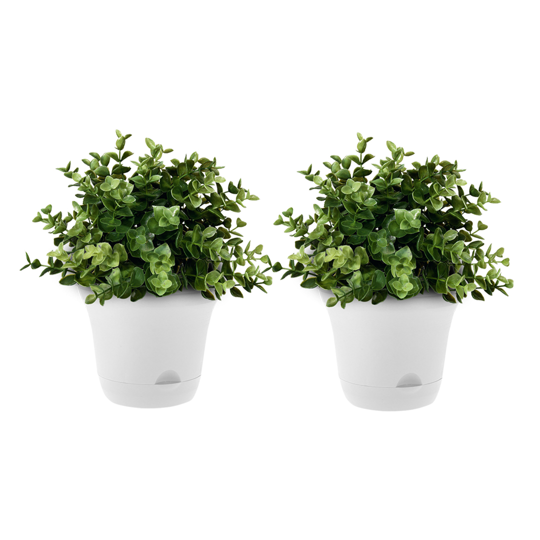 Soga 19.5 Cm White Plastic Plant Pot Self Watering Planter Flower Bonsai Indoor Outdoor Garden Decor Set Of 2, Home &Amp; Living, Home Decor, Indoor Pots, Planters And Plant Stands, , ,  - Nz Depot 1