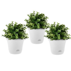 SOGA 19.5 cm Plastic Plant Pot Self Watering Planter Flower Bonsai Indoor Outdoor Garden Decor Set of 3, Home & Living, Home Decor, Indoor Pots, Planters and Plant Stands, , ,  - NZ DEPOT 1