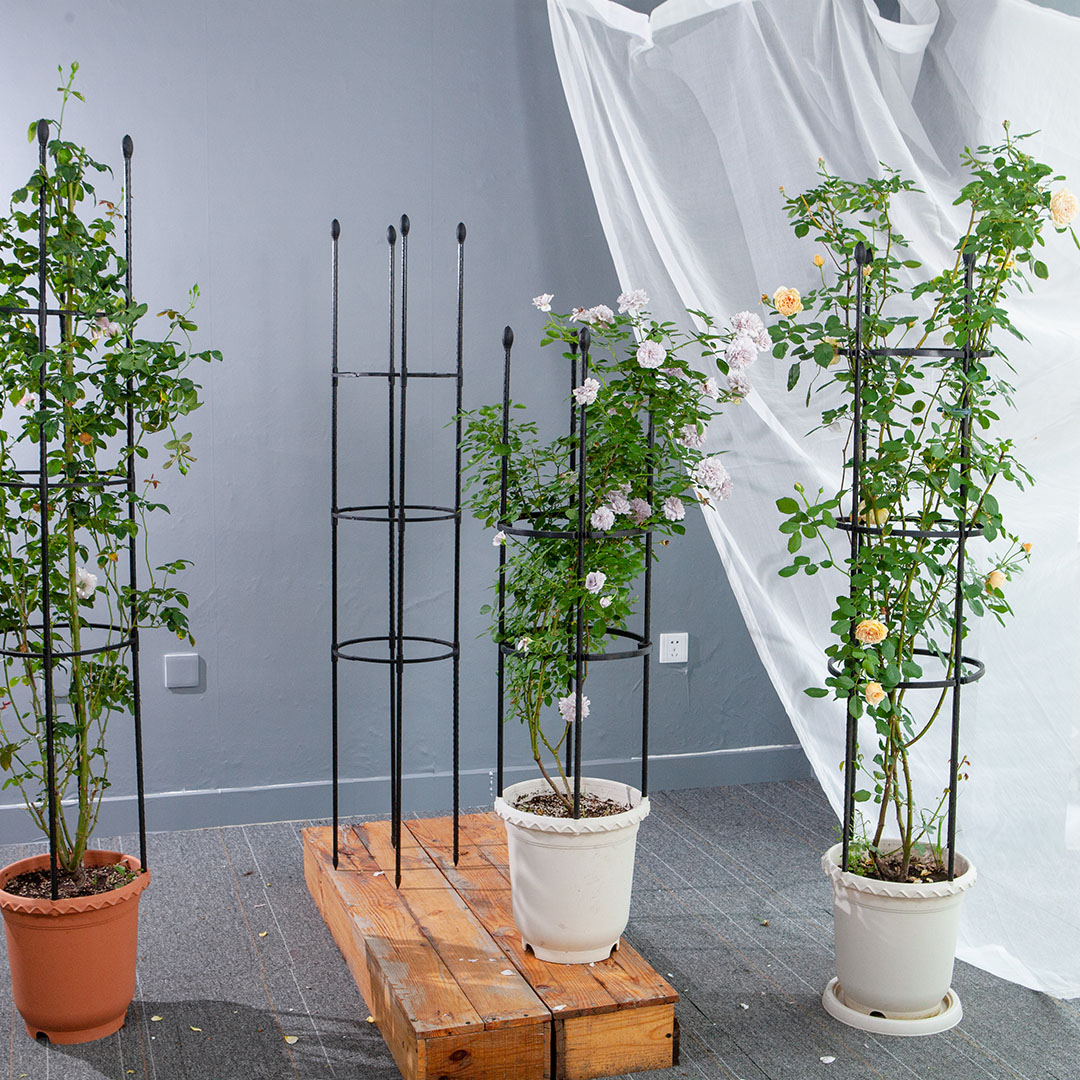 Soga 2X 103Cm 4-Bar Plant Frame Stand Trellis Vegetable Flower Herbs Outdoor Vine Support Garden Rack With Rings, Garden, Tools &Amp; Hardware, Gardening &Amp; Lawn Care, Garden Decor, ,  - Nz Depot 8