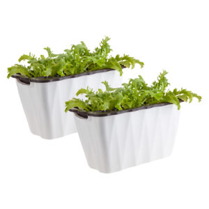 SOGA 2X 35cm Small White Rectangular Flowerpot Vegetable Herb Flower Outdoor Plastic Box Garden Decor, Home & Living, Home Decor, Indoor Pots, Planters and Plant Stands, , ,  - NZ DEPOT 1