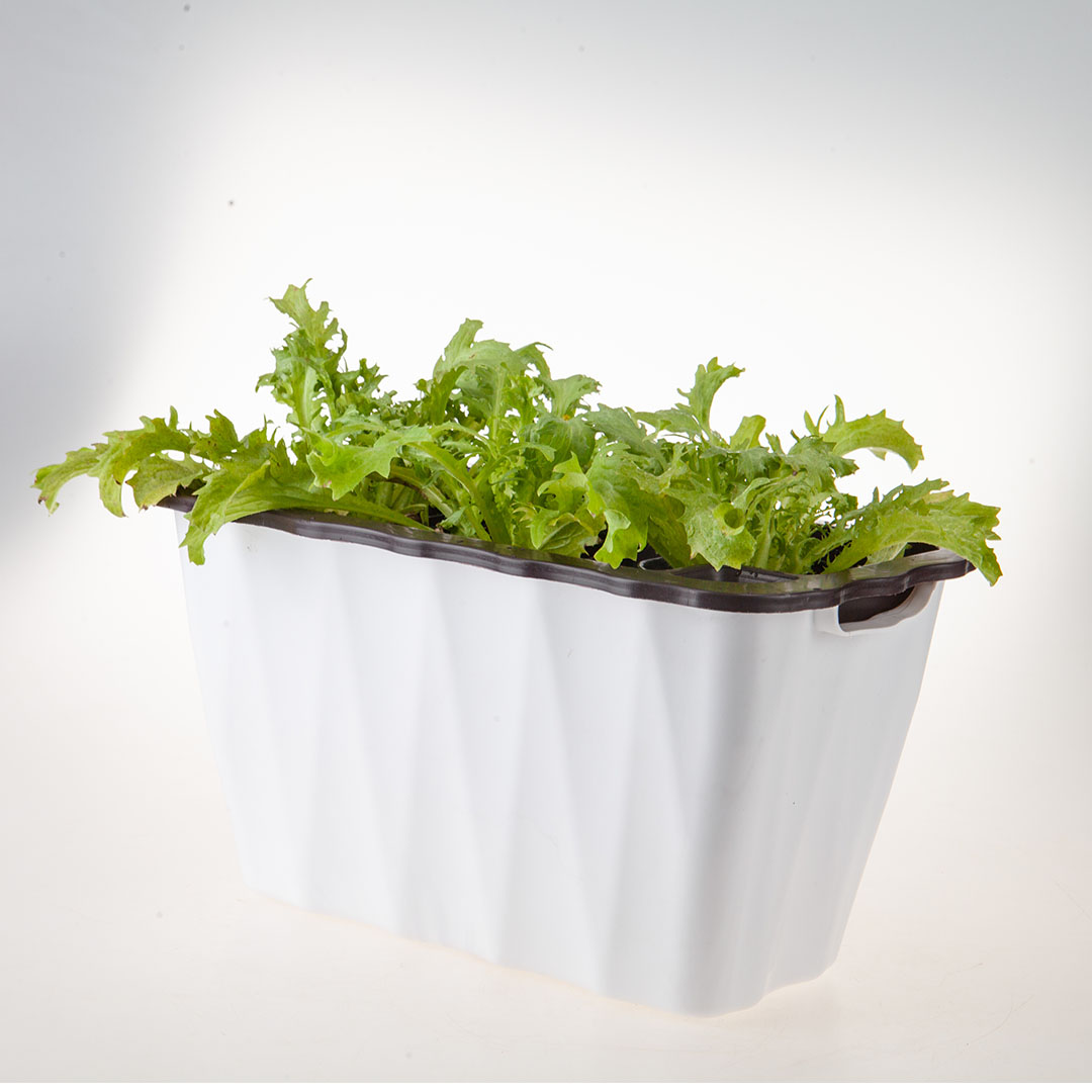 Soga 2X 35Cm Small White Rectangular Flowerpot Vegetable Herb Flower Outdoor Plastic Box Garden Decor, Home &Amp; Living, Home Decor, Indoor Pots, Planters And Plant Stands, , ,  - Nz Depot 8