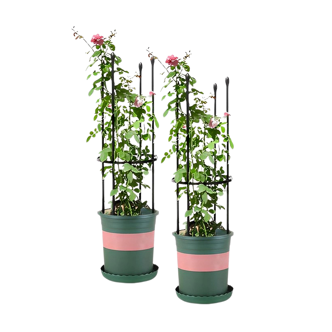 Soga 2X 73Cm 4-Bar Plant Frame Stand Trellis Vegetable Flower Herbs Outdoor Vine Support Garden Rack With Rings, Garden, Tools &Amp; Hardware, Gardening &Amp; Lawn Care, Garden Decor, ,  - Nz Depot 1