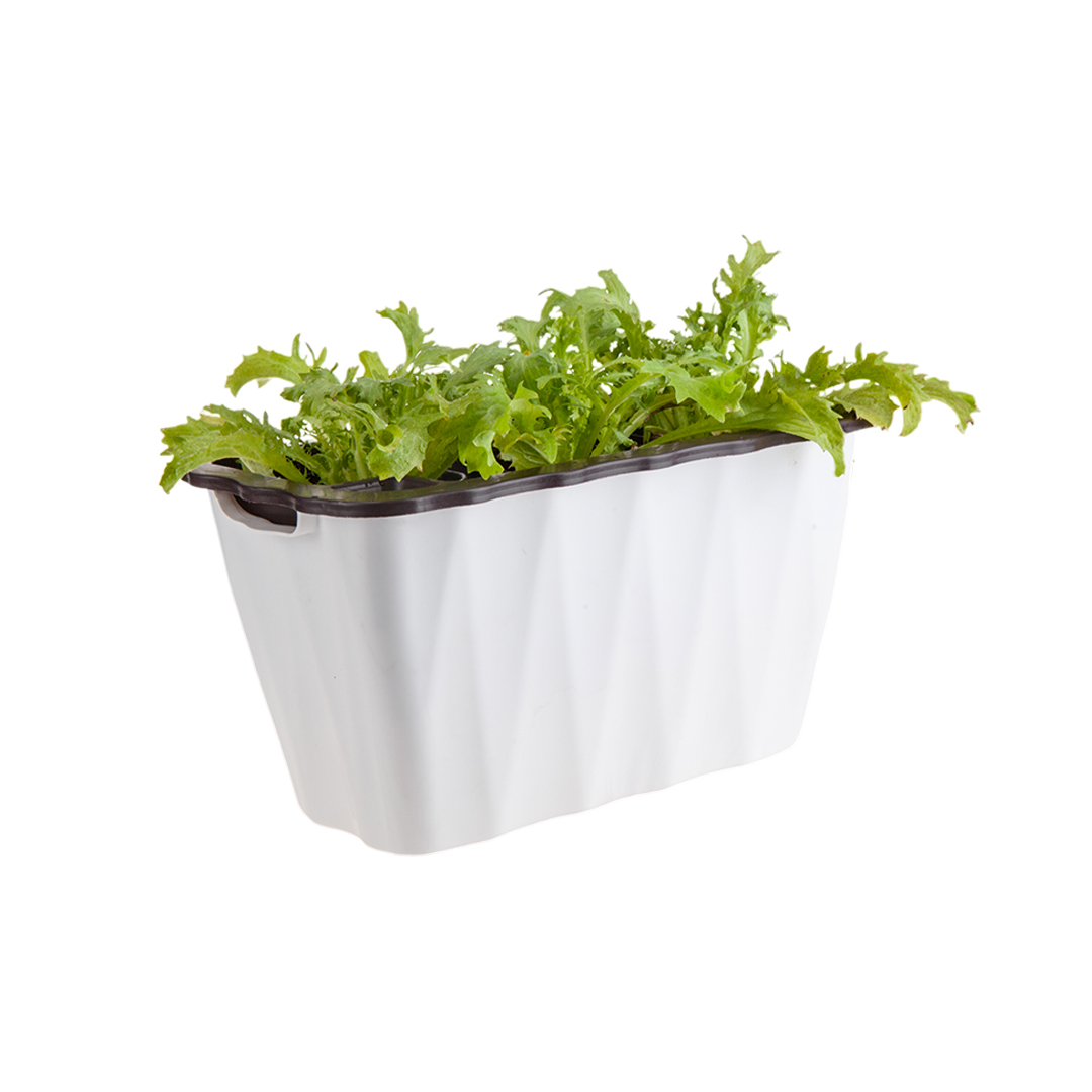 Soga 35Cm Small White Rectangular Flowerpot Vegetable Herb Flower Outdoor Plastic Box Garden Decor, Home &Amp; Living, Home Decor, Indoor Pots, Planters And Plant Stands, , ,  - Nz Depot 1