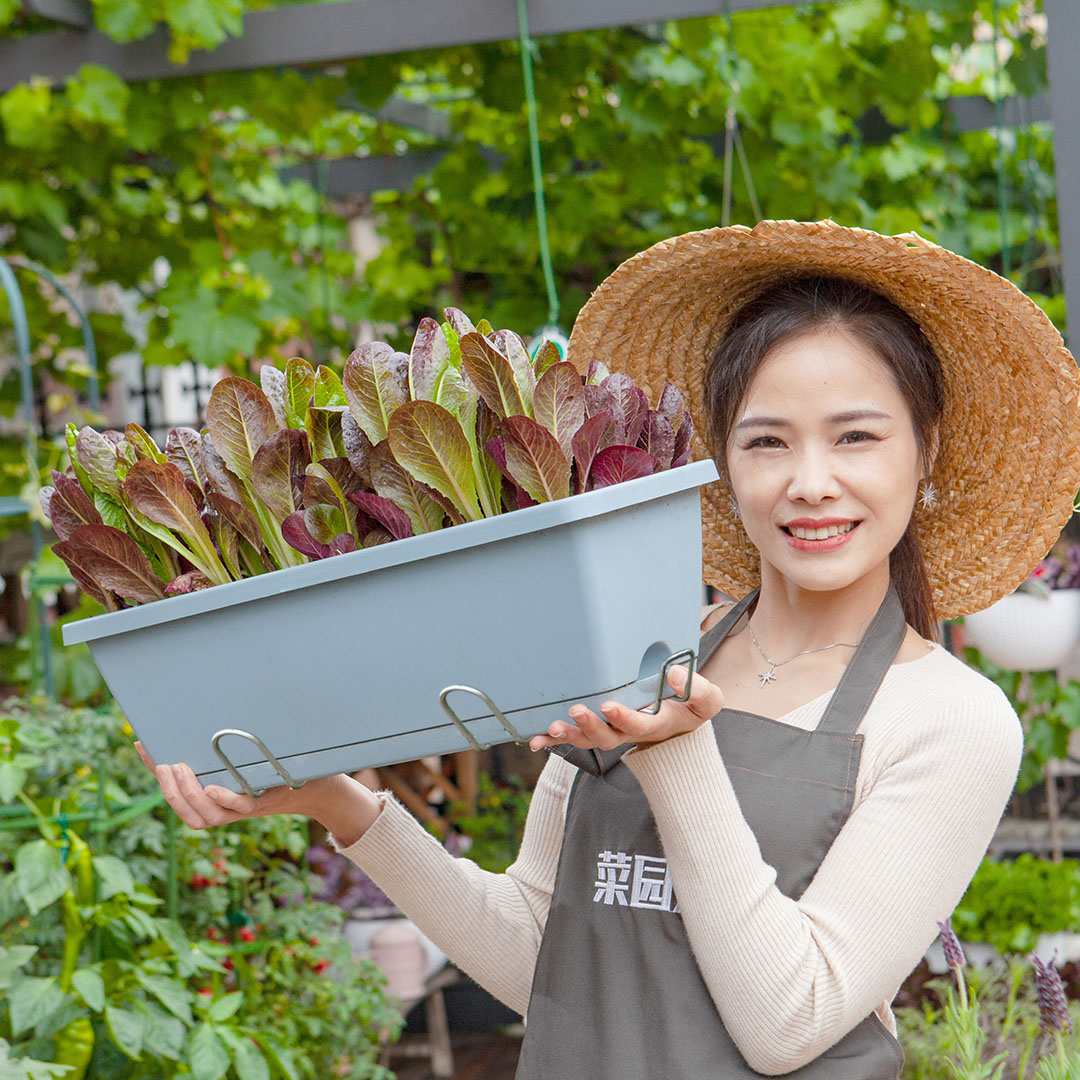 SOGA 49.5cm Blue Rectangular Planter Vegetable Herb Flower Outdoor Plastic Box with Holder Balcony Garden Decor Set of 2, Garden, Tools & Hardware, Gardening & Lawn Care, Pots, Planters & Container Accessories, , ,  - NZ DEPOT 4