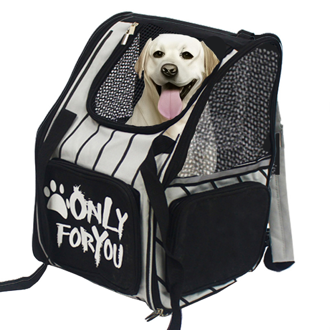 Soga Black Pet Carrier Backpack Breathable Mesh Portable Safety Travel Essentials Outdoor Bag, Pet Supplies, Dogs, Carriers &Amp; Travel Products, , ,  - Nz Depot 1