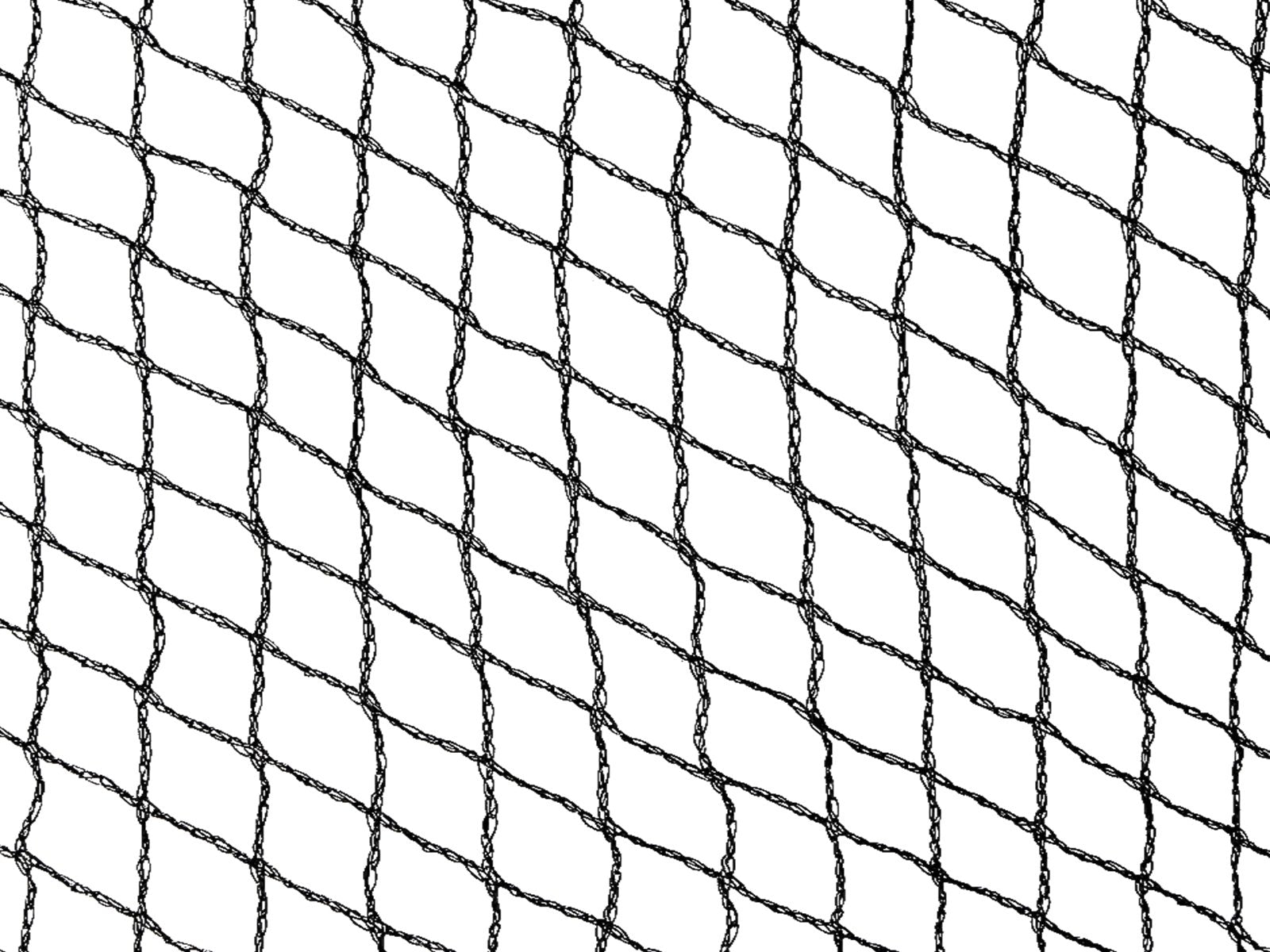 Anti-Bird Netting 10 X 50M