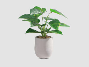 Artificial Pot Plant PR6492 Indoor Plants NZ DEPOT