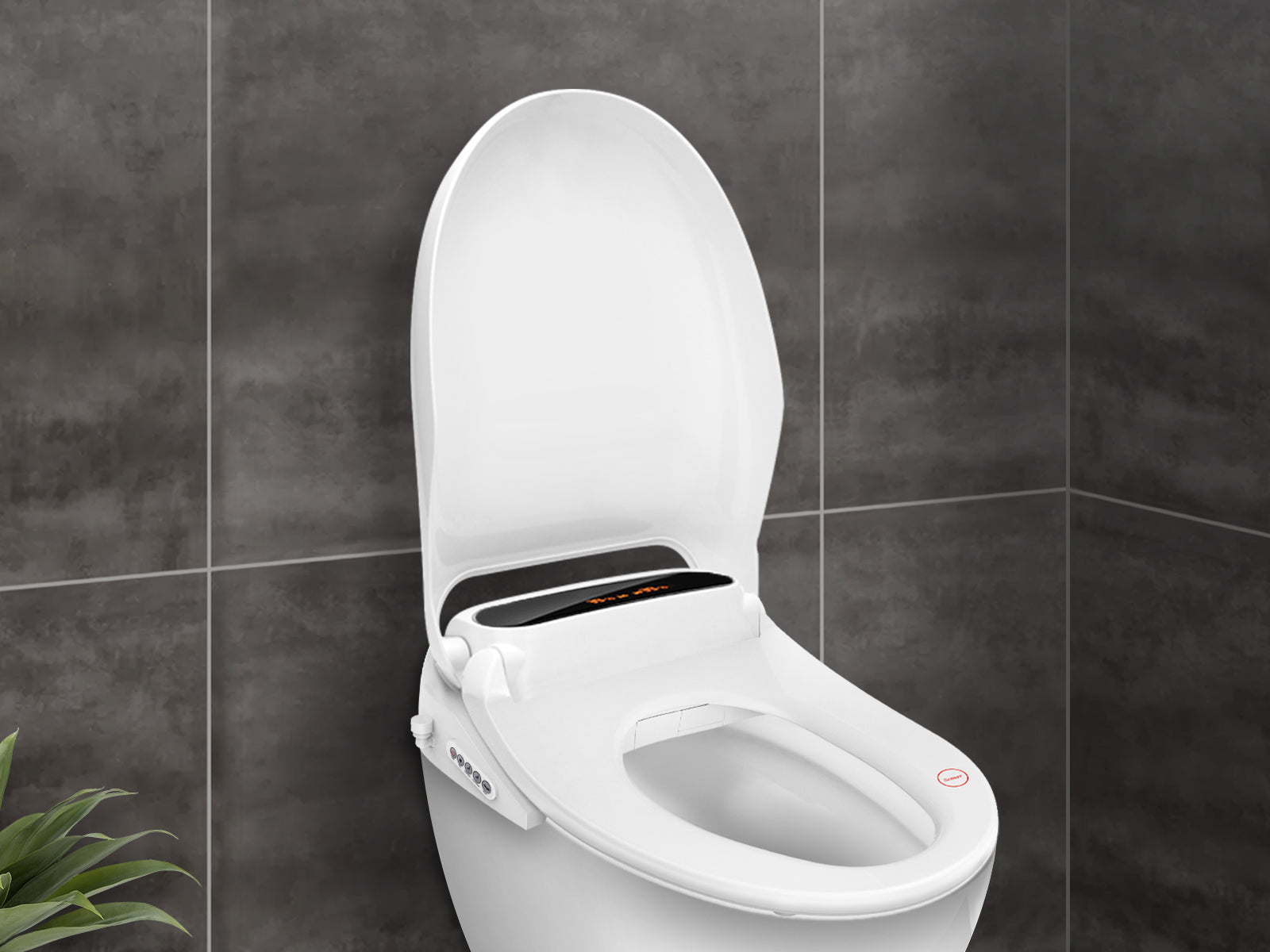 Bidet - NZ DEPOT