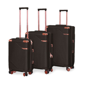 Voyage Luggage Set