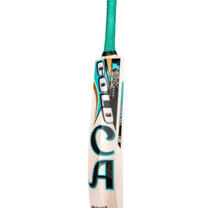 CA GOLD BLAST 18K - Green  Cricket Bats,2