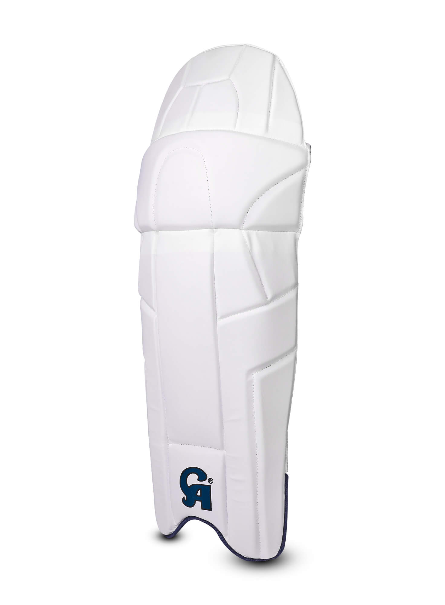 Gold 3000 - Blue L.h.s, R.h.s Leg Pads,4