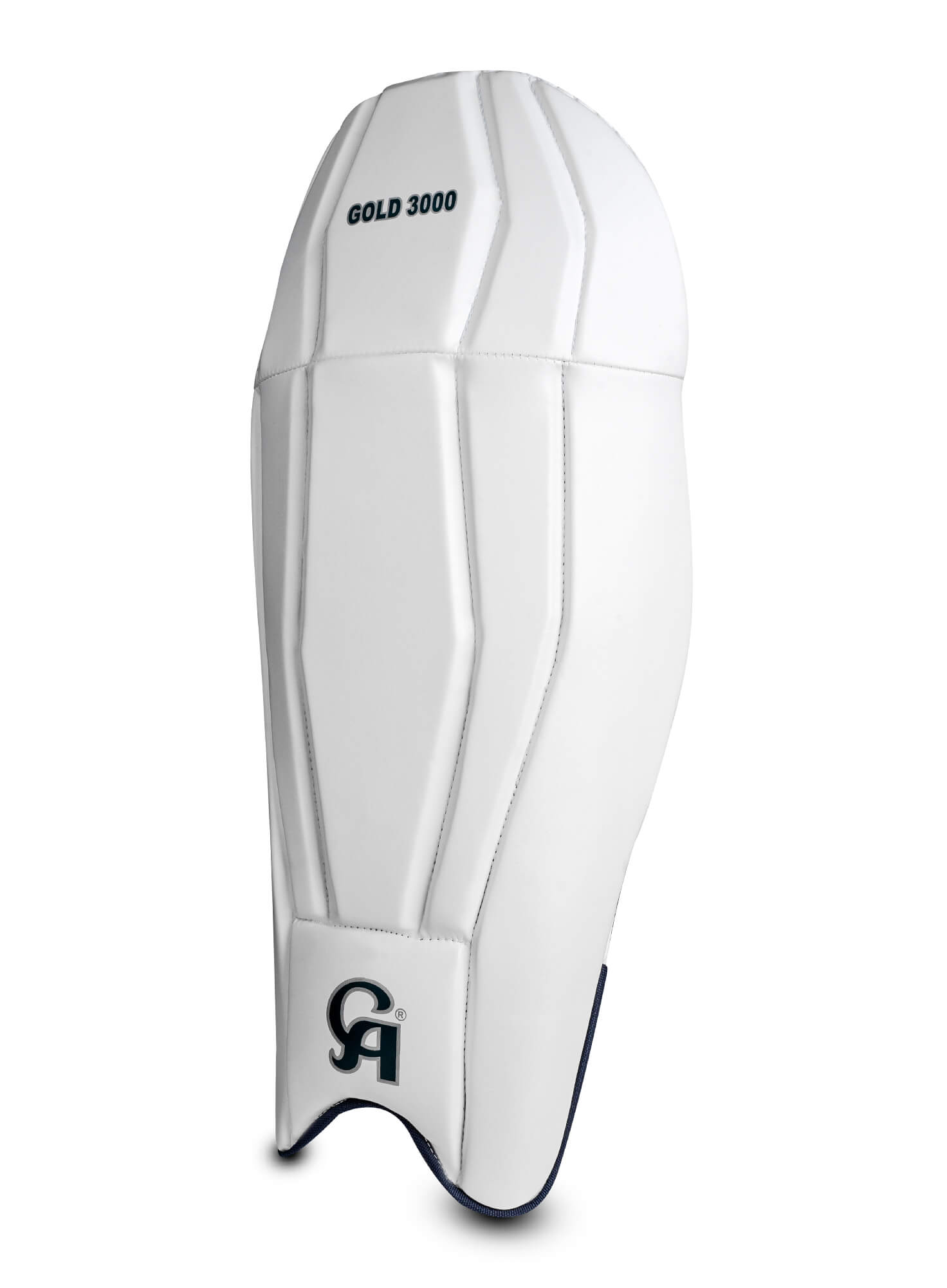 Gold 3000 - Blue L.H.S, R.H.S Wicket Keeping Pads,5