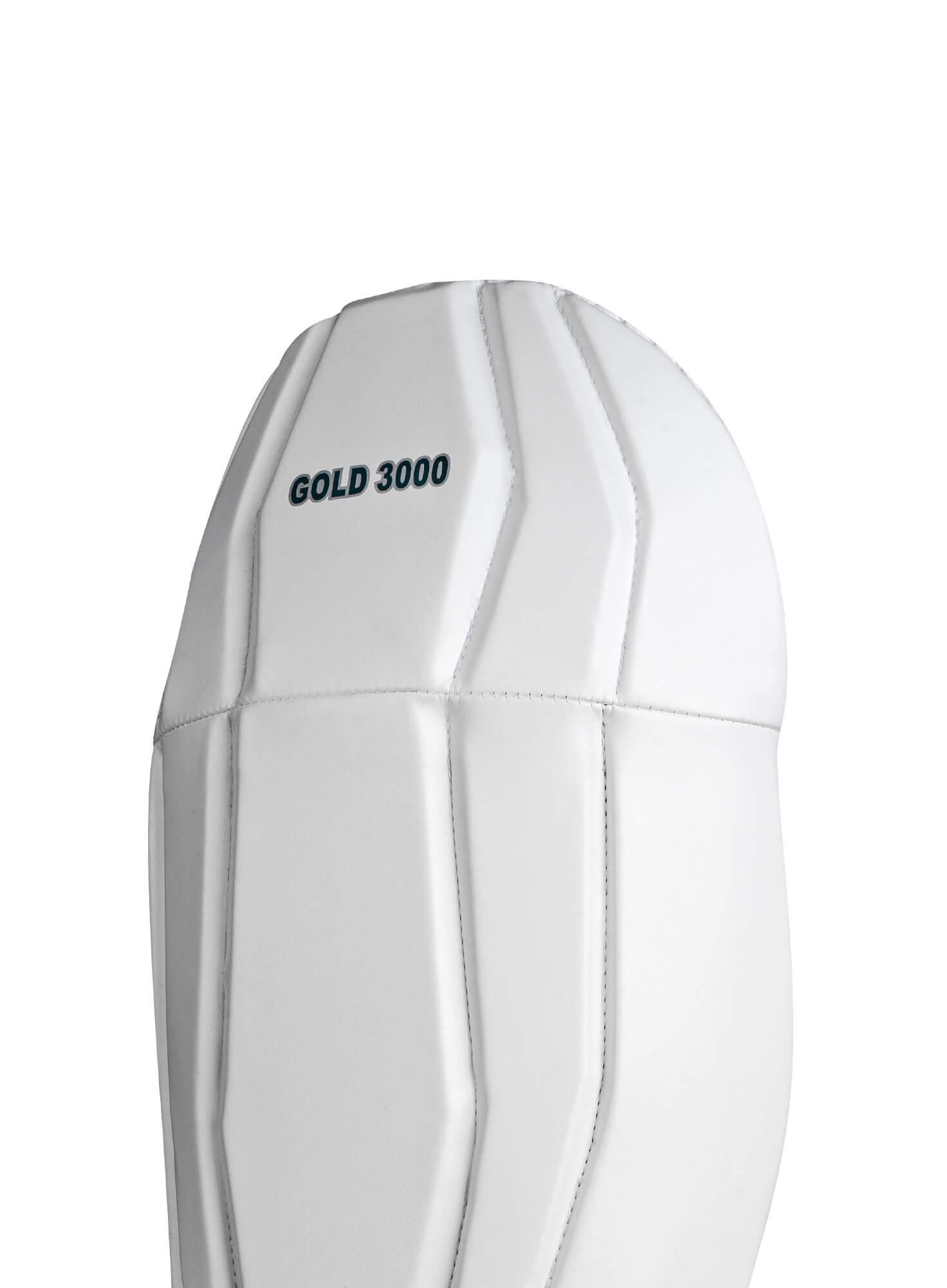 Gold 3000 - Blue L.H.S, R.H.S Wicket Keeping Pads,6