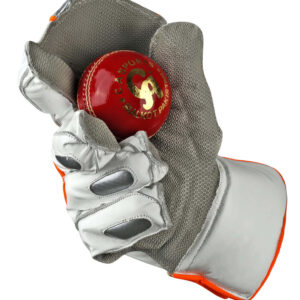 PRO 20K WK GLOVES - Grey L.H.S, R.H.S Wicket Keeping Gloves,2