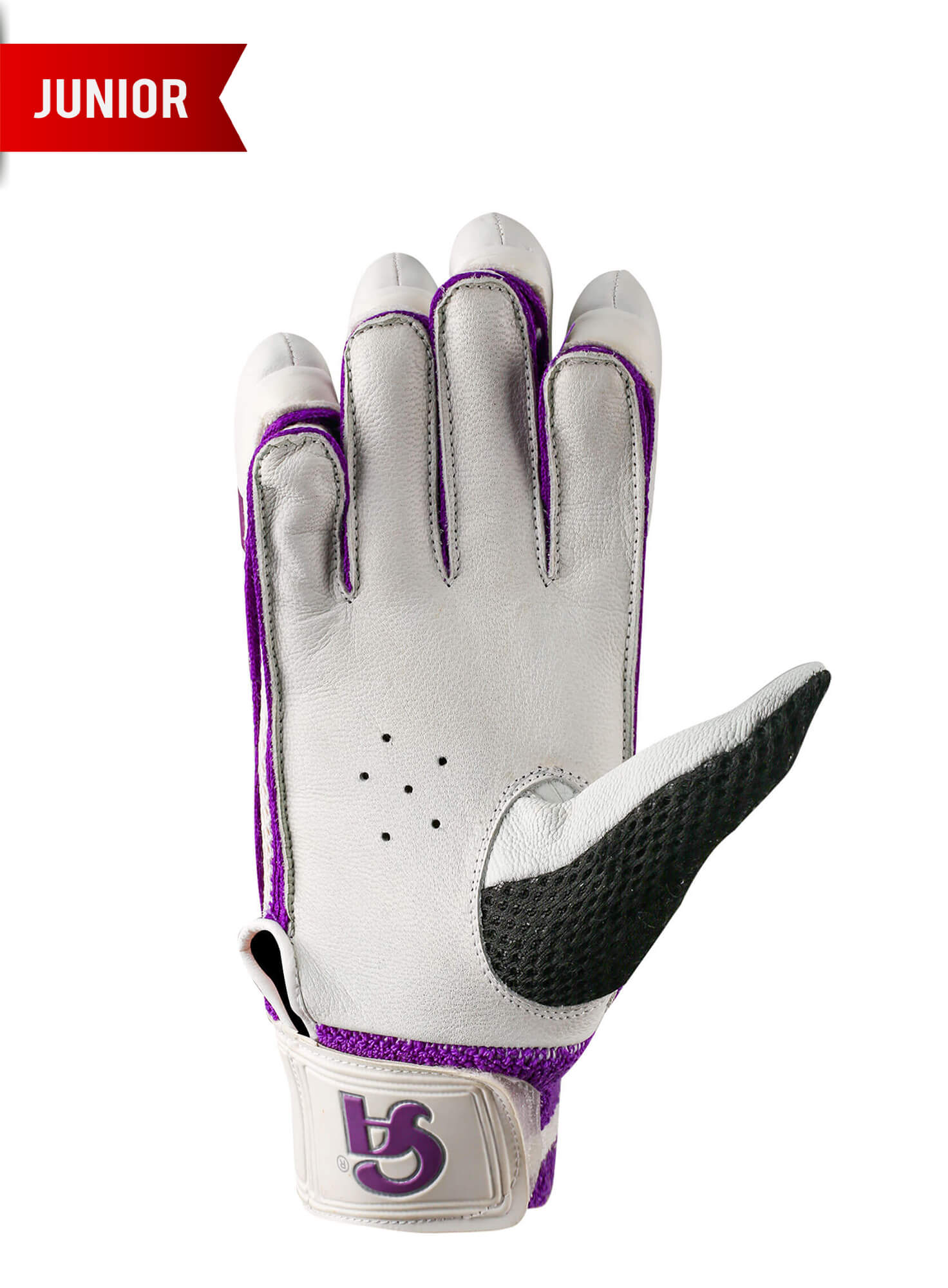 Pro 3000 Junior - Purple L.h.s, R.h.s Junior Batting Gloves,3