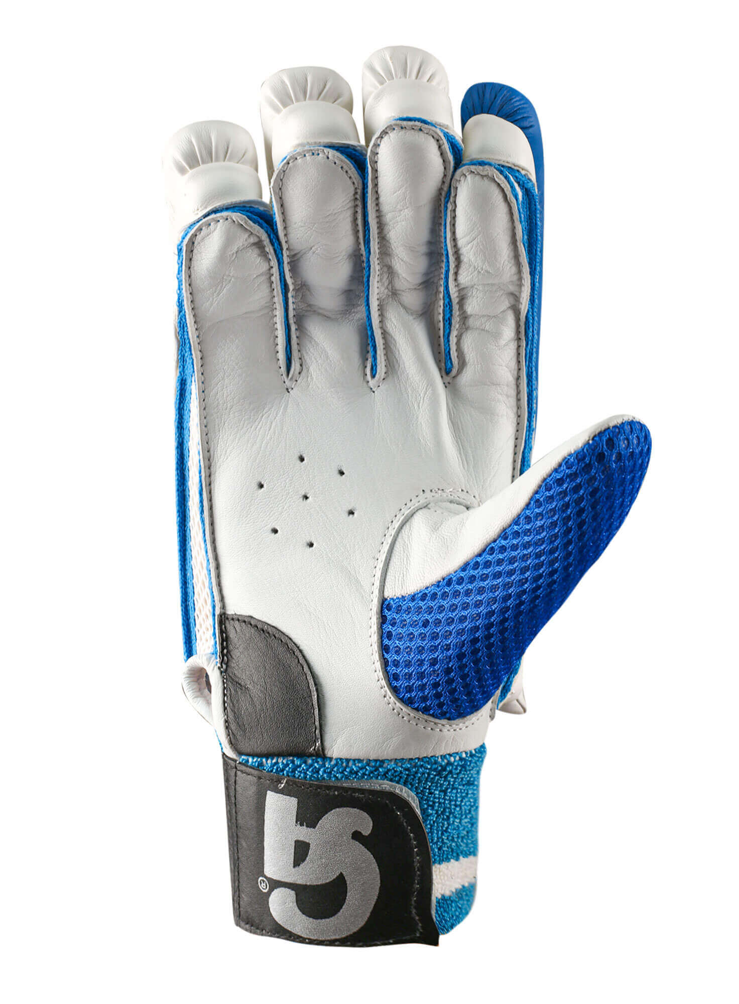 PRO 8000 - Blue L.H.S, R.H.S Batting Gloves,6