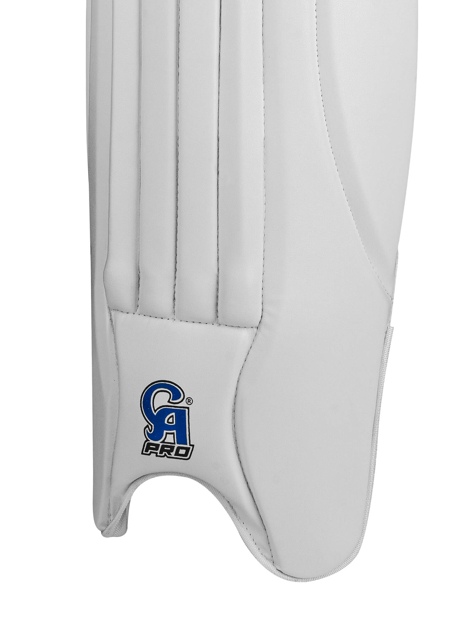 PRO 8000 - Blue L.H.S, R.H.S Leg pads,5