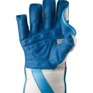 PRO 8000 WK GLOVES - Blue L.H.S, R.H.S Wicket Keeping Gloves,2