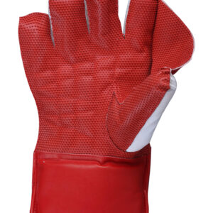 WHITE GOLD - Red L.H.S, R.H.S Wicket Keeping Gloves,2