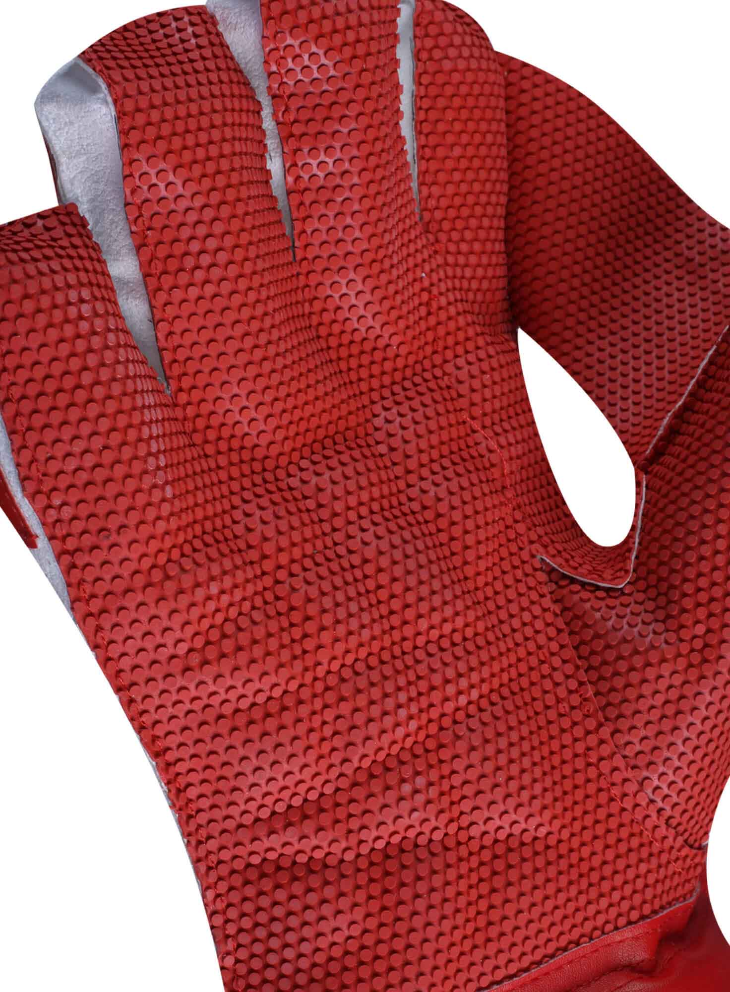 WHITE GOLD - Red L.H.S, R.H.S Wicket Keeping Gloves,4